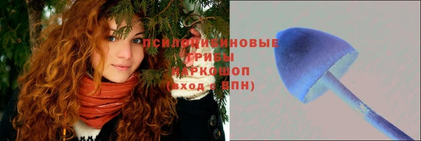 mdpv Дмитров