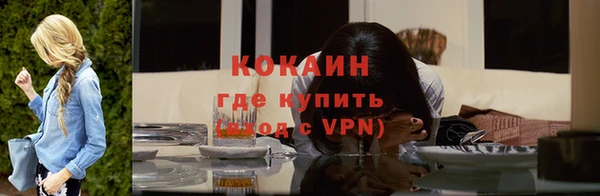 мдпв Дмитровск