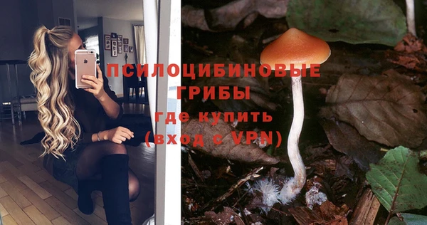 соль курить ск Дмитриев