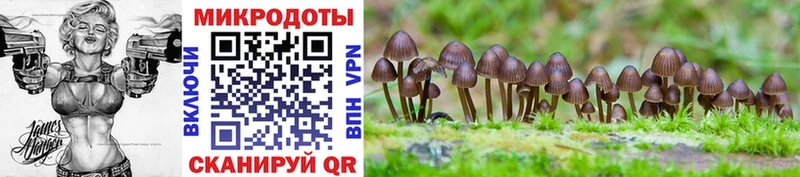 Галлюциногенные грибы MAGIC MUSHROOMS  Купить где  Мещовск 